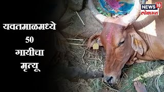 Full Hd Ibn Lokmat Tv Channel Direct Download And Watch Online