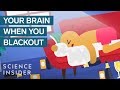 What Happens To Your Brain When You Get Blackout Drunk | The Human Body
