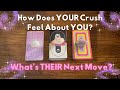How Does Your Crush Feel About YOU? All About YOUR CRUSH 😍💭💞 In-Depth Timeless Tarot Reading