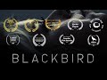 Blackbird | Award Winning Sci-Fi Short Film