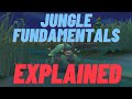 Learn Jungle Fundamentals to 1v9 - Jungle Guide - League of Legends Coaching
