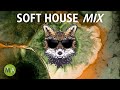Peak Focus Soft House Study Music with Beta Isochronic Tones - Fox Mix