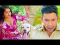 आम्रपाली दुबे को हुआ कुत्ते से प्यार | निरहुआ देखते ही होगया हैरान | Bhojpuri Movie Best Scene
