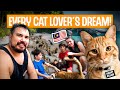 I can't believe a Cat Beach even exists in Malaysia!