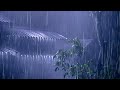 Fall into Sleep in Under 3 Minutes with Heavy Rain & Thunder on a Metal Roof of Farmhouse at Night