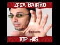 Zeca Baleiro - Telegrama