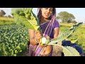 💘 छोटी है पर मीठी है 💘 My vegetable farm tour