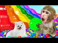 KiKi Monkey jump into Ball Pit Pool from Waterslide & make Miniature Rainbow Jelly |KUDO ANIMAL KIKI