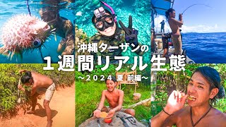 1週間沖縄ターザンを追跡したら色々ヤバすぎた【キジー生活 前編】