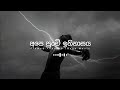 Ape punchi ithihasaya || අපෙ පුංචි ඉතිහාසය (slowed and Reverb )