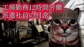 １か月後に躁鬱になる派遣社員の日常（猫ミーム 猫マニ）