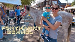 🇳🇱 Ponymarkt Bemmel - Đi xem chợ ngựa ở Bemmel 🐴🐴🐴