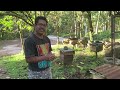 how to be a successful beekeeper tips ni pastor mel