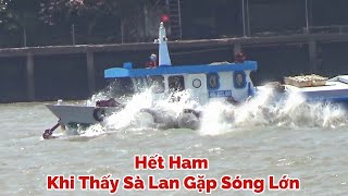 Sà Lan Cũng Hơi Bất Ngờ Vì Cơn Sóng Quá Mạnh, Kiểu Này Lại Xuất Hiện Trên Sông