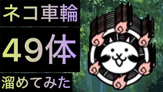 ネコ車輪49体溜めてみた！　にゃんこ大戦争　ゲノム盆踊り