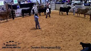 Highlands County Jr. Livestock l Heifer Show