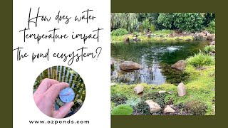 How water temperature affects your pond ecosystem