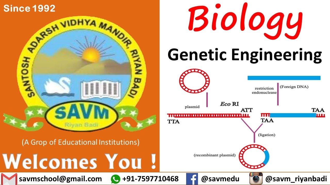 Class 12 | Biology | Chapter 15 | Genetic Engineering - 5 - YouTube