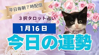 【２０２５年１月１６日】今日の運勢【３択タロット】すべてミュートで見ても大丈夫です🌈これから２４時間以内に起きること✨