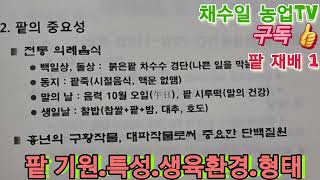 팥 재배기술 1편~ 팥농사 텃밭에 팥 심어볼까? 팥의기원 특성 생육환경 팥의 형태적특성?@Gangwon_State @hoengseonggun @wonjucity_official @영월군 @정선군 @홍천군