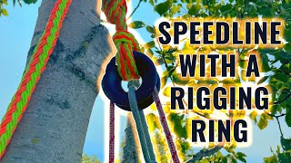 Tree Work: Rigging Ring in a Speed Line System!