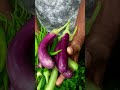 പലവക പറിക്കാം🍆🌶️🍆 youtubeshorts farming food harvest health vegetables brinjal chilly