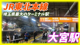 【埼玉最大のターミナル駅】大宮駅構内を散策！ 高崎線、宇都宮線、埼京線、京浜東北線、東北上越新幹線 (Japan Walking around Ōmiya Station)