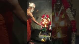 திருமங்கலம் சிதம்பரேஸ்வரர் உடனுறை ஶ்ரீ சிவகாமசுந்தரி அம்மன் இன்றைய தீபாராதனை