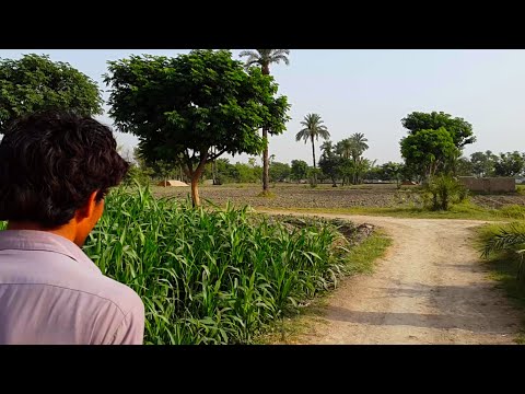 Pakistani Village Life In Punjab | Tubewell Water Pakistani Village Life In Punjab | Tubewell Water