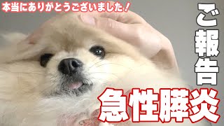 【ありがとうございます！！】皆様に良いご報告があります！