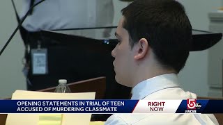 'I think of killing someone and I smirk:' teen beheading trial gets underway