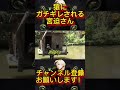 エサやりに失敗して猿にガチギレされる宮迫さんww shorts ヒカル 宮迫博之