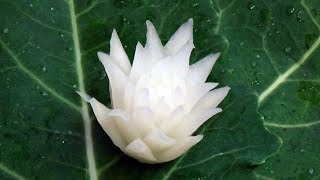 #200 How to make a radish flower - carving garnish lessons for beginners