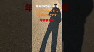 静岡県静岡市にある【秋葉山公園】の滑り台に来ました。滑り台に行くまでに小高い丘登りをした！豊橋市の整体の弟#shorts