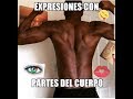 expresiones con partes del cuerpo