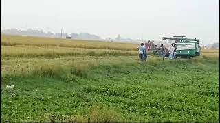 Rice Combine Harvester Changfa harvester cf805 865 866