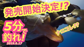 【5分で釣れ！】発売開始決定？ハルチャてなんだ？