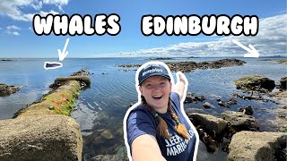 What to do in Edinburgh? Whale Watching and Rockpooling only 8 Miles away!