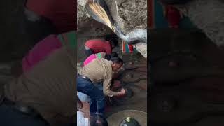 Shri gangeshwar mahadev temple status #ytshorts #ytreels #harharmahadev #harharshambhu #kedarnath