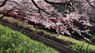 北大垣　岐阜県電車スポット　JR東海　養老鉄道