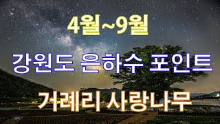 4월~9월 강원도 은하수 포인트(거례리 사랑나무)