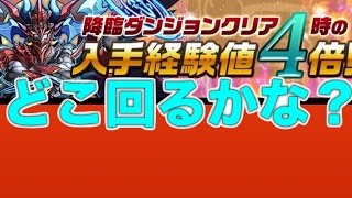 [パズドラ]経験値４倍どこが美味しい？試しにリンシアをシヴァドラで周回。