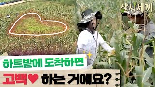 [#삼시세끼정선편] 뭘 해도 죽이 잘 맞는 택연-신혜, 옥수수 따다가 도착한 하트밭에서의 이야기