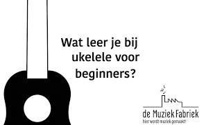 Ukelele voor beginners cursus van de MuziekFabriek Utrecht