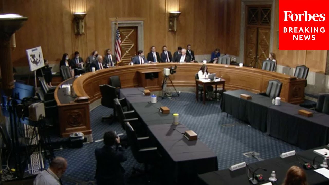 Senate Homeland Security Committee Holds Hearing On Mistreatment Of ...