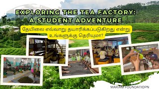 Exploring the Tea Factory: A Student Adventure தேயிலை எவ்வாறு தயாரிக்கப்படுகிறது என்று தெரியுமா?