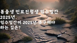 봄출생 인묘진월생 임수일간 특징과 2025년 운