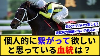 【競馬】みんなが個人的につながって欲しいと思ってる血統は？