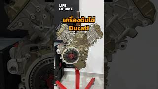 รวมเครื่อง Ducati เกือบทุกรุ่น #ducati  #engine #lifeofbike