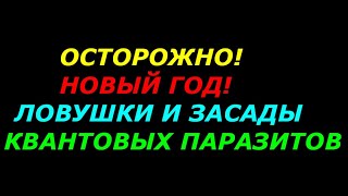 Осторожно! Новый год! Ловушки и засады квантовых паразитов!